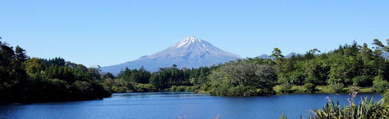 nz6-1300