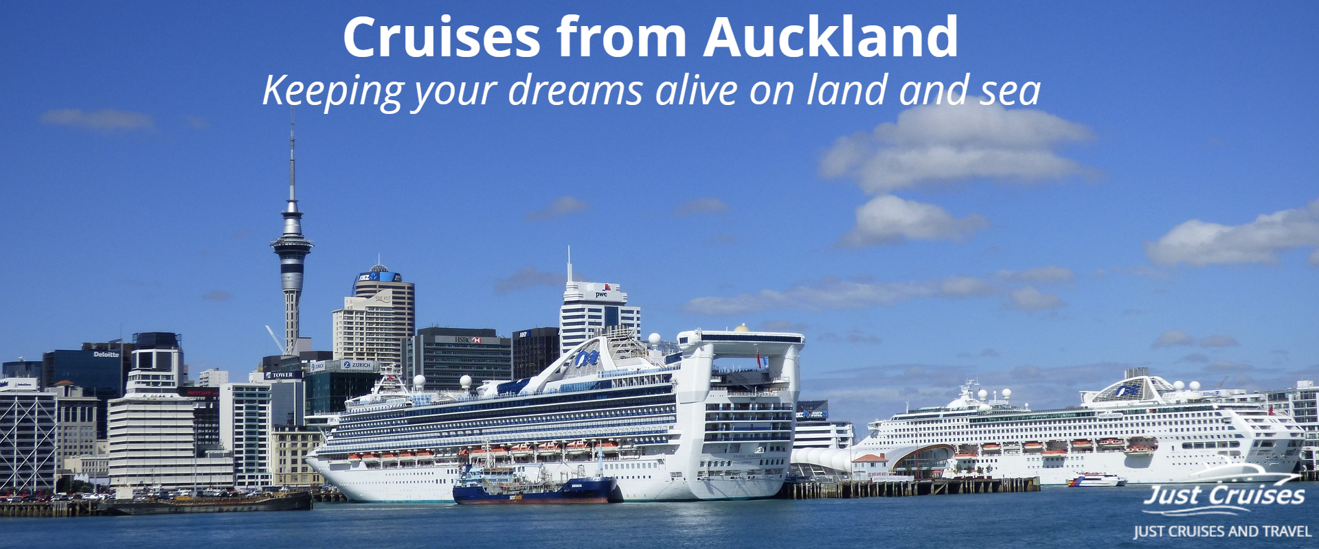 cruises from auckland 2023 december