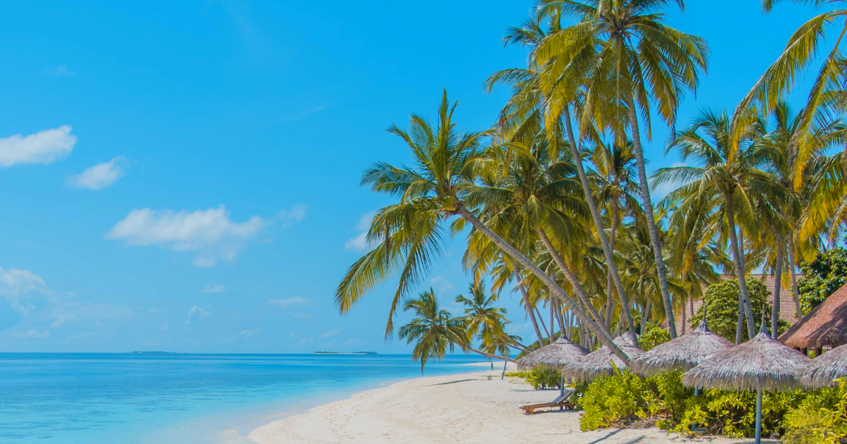 SouthPacific (4)