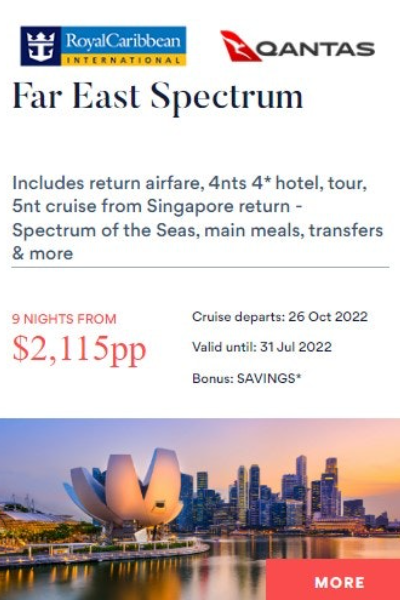 fly cruise book online