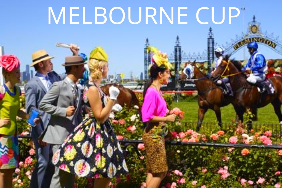 Melbourne Cup Cruise From Brisbane 2025 Packages Erina Gerianna
